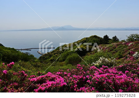 美保関からの大山 119275828