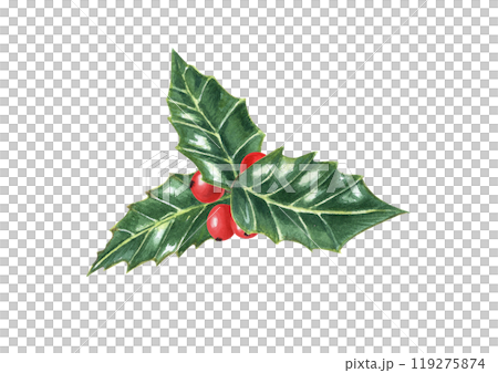 Holly berries with leave watercolor illustration in realistic style. Traditional red berry Xmas symbol for Christmas decoration, festive poster, greetings Holly berries with leave watercolor illustration in realistic style. Traditional red berry Xmas symbol for Christmas decoration, festive poster, greetings 119275874