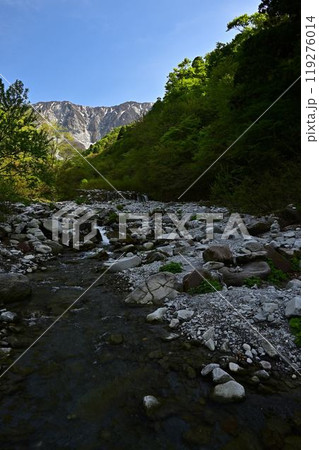 新緑の大山 119276014