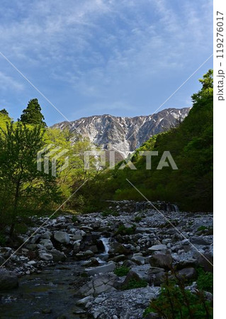 新緑の大山 119276017