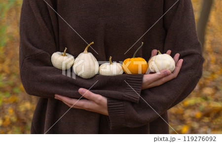 young woman holds small multi-colored pumpkins in her hands 119276092