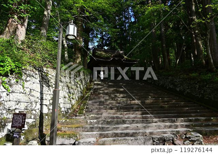 新緑の大神山神社 新緑の大神山神社 119276144