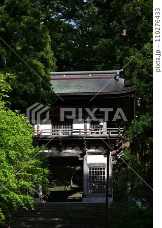 新緑の大山寺 119276433