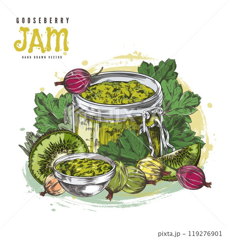 Glass jar with gooseberry and kiwi jam, hand drawn sweet ripe berries with leaves fruit vector label design organic food Glass jar with gooseberry and kiwi jam, hand drawn sweet ripe berries with leaves fruit vector label design organic food 119276901