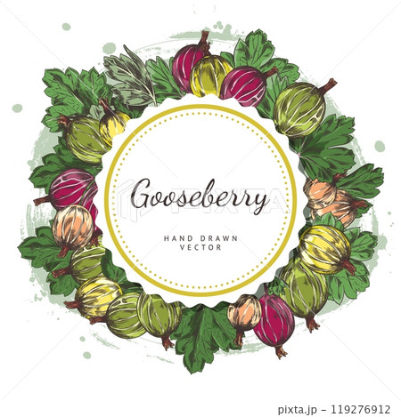 Vector illustration with a round frame made of a sprig of gooseberry berries with leaves 119276912
