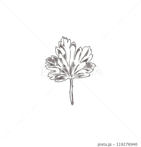 A black-and-white vector sketch of a sheet made by hand in a realistic style A black-and-white vector sketch of a sheet made by hand in a realistic style 119276940