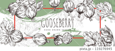 Gooseberry with leaves. Horizontal banner. 119276945