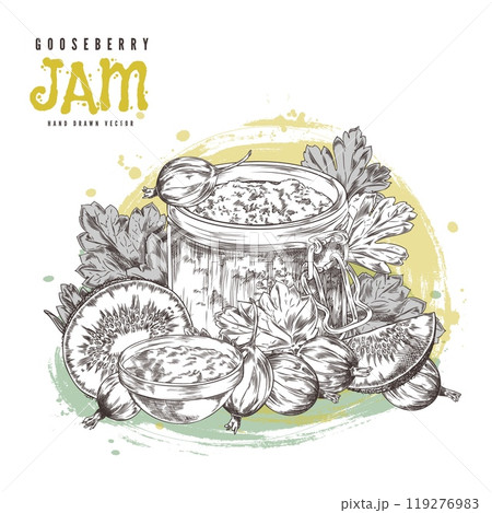 Vector illustration with a glass jar of jam made from fresh gooseberry and kiwi berries Vector illustration with a glass jar of jam made from fresh gooseberry and kiwi berries 119276983