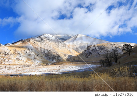 冬の由布岳(由布市) 冬の由布岳(由布市) 119278010