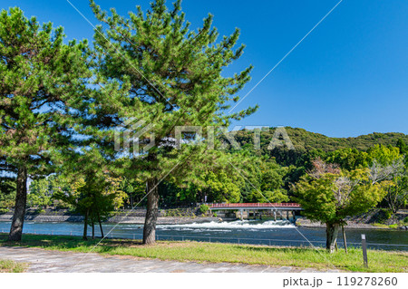 宇治公園塔の島からの観流橋の眺め　京都府宇治市 119278260