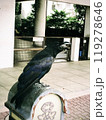 佇むカラス 119278646