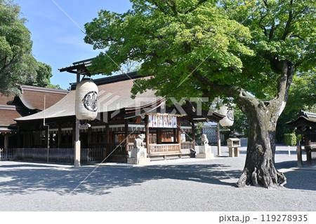 国府宮神社拝殿 国府宮神社拝殿 119278935
