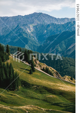 Rolling hills with mountain backdrop 119279643