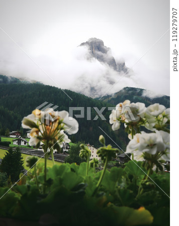 Mountain View Through Flowers 119279707