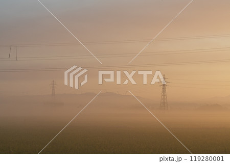朝モヤで霞んで見える鉄塔 朝モヤで霞んで見える鉄塔 119280001