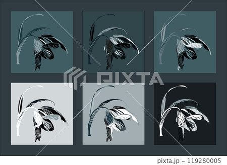 Set of vector illustrations. Abstract images. Flower 119280005