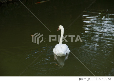 倉敷美観地区の風景 岡山県 倉敷美観地区の風景 岡山県 119280078