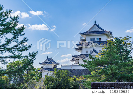 伊賀上野城（三重県伊賀市） 119280625