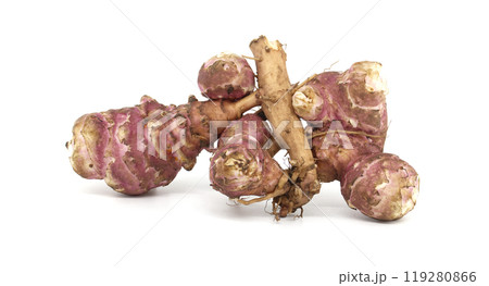Fresh raw Jerusalem artichokes isolated against a white background Fresh raw Jerusalem artichokes isolated against a white background 119280866