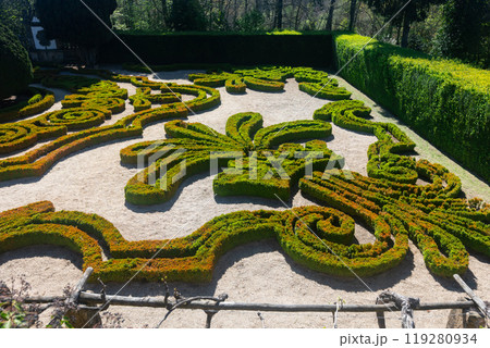 Impressive garden of Mateus Palace. Vila Real Impressive garden of Mateus Palace. Vila Real 119280934