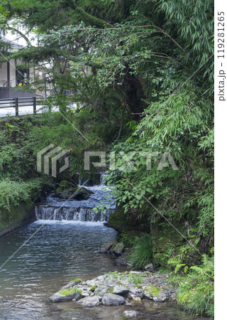 秋の貴船川 川のせせらぎ 秋の貴船川 川のせせらぎ 119281265
