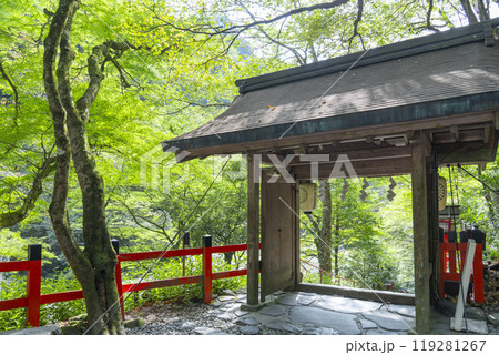 秋の貴船神社 中門から見える朱色の灯篭と石段 秋の貴船神社 中門から見える朱色の灯篭と石段 119281267