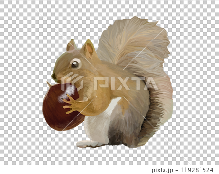 Squirrel (with chestnuts) Squirrel (with chestnuts) 119281524