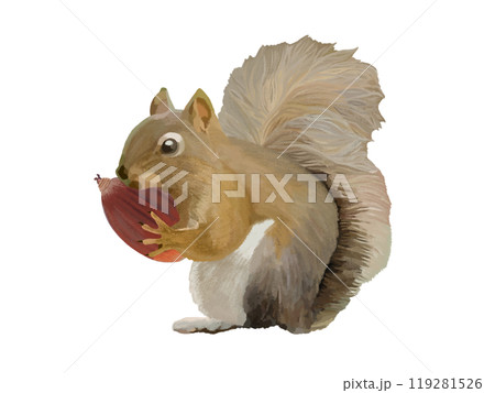 リス（ドングリ付き） 119281526