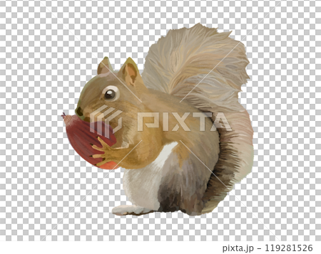 リス（ドングリ付き） 119281526