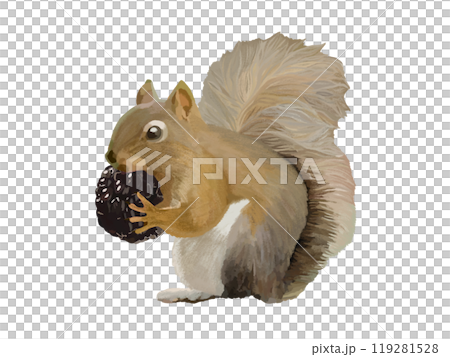 Squirrel (Blackberry) Squirrel (Blackberry) 119281528