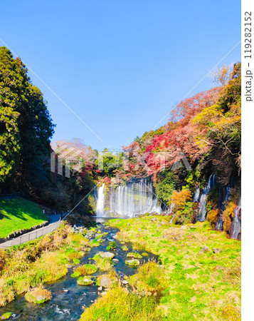 白糸の滝（秋）　[富士宮市] 119282152