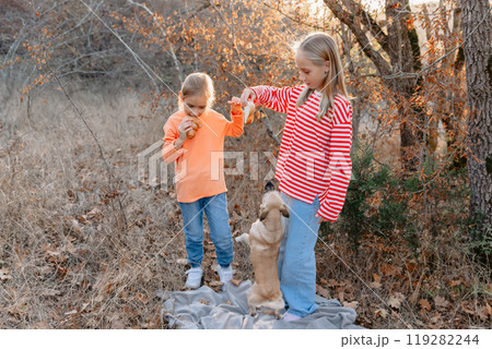 Child girls playing with dog outdoor in autumnal forest 119282244