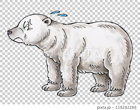 Troubled Polar Bear 119282268