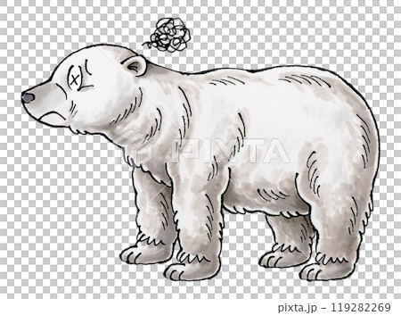 北極熊來訪 119282269