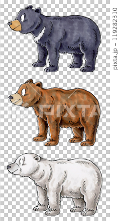 熊セット(ツキノワグマ、ヒグマ、シロクマ)のイラスト素材 [119282310  