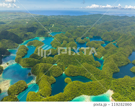 Beautiful group of lagoon in Sohoton Cove. Mindanao, Philippines. 119282860