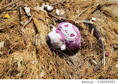 くたびれたぬいぐるみ 漂着ゴミ くたびれたぬいぐるみ 漂着ゴミ 119283093