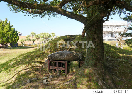 ひなた宮崎県総合運動公園の風土記の丘 119283114