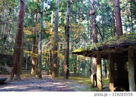 森と東屋と紅葉 森と東屋と紅葉 119283559