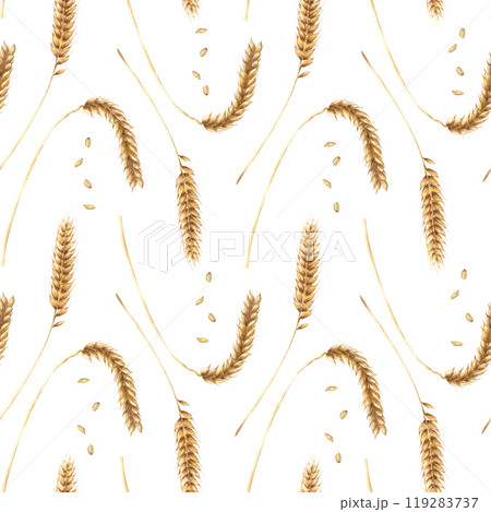 Watercolor seamless pattern with ears of wheat, cereal, corn and golden grains. Hand drawn illustration isolated on white background for wrapping wallpaper fabric textile 119283737