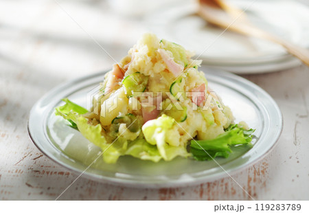 ポテトサラダ ポテトサラダ 119283789