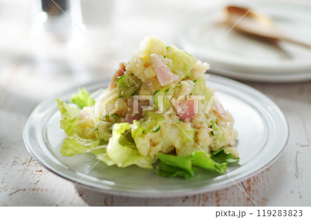 ポテトサラダ ポテトサラダ 119283823