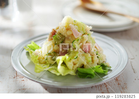ポテトサラダ 119283825
