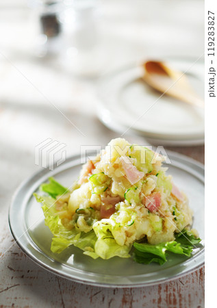 ポテトサラダ 119283827