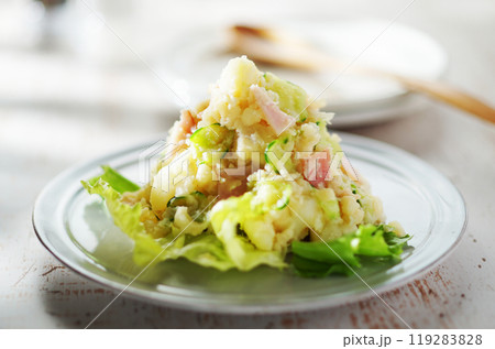 ポテトサラダ ポテトサラダ 119283828