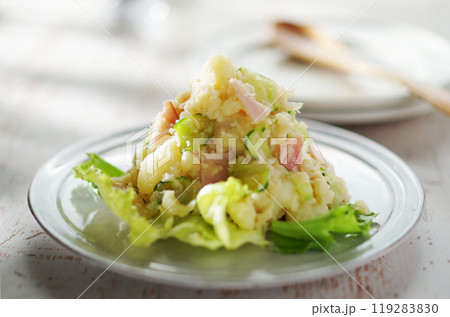 ポテトサラダ ポテトサラダ 119283830