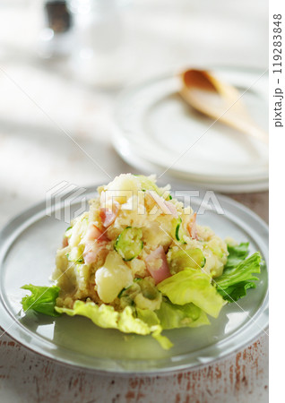 ポテトサラダ ポテトサラダ 119283848