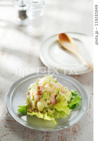 ポテトサラダ 119283849