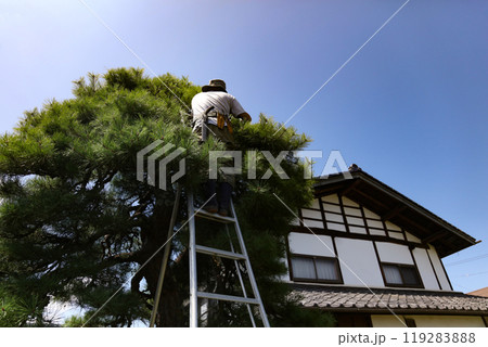 庭木の手入れをする男性 119283888