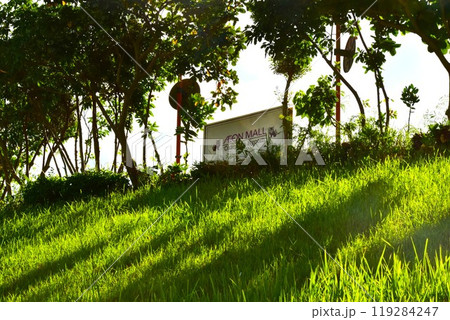 朝の沖縄ライカムの斜面 朝の沖縄ライカムの斜面 119284247